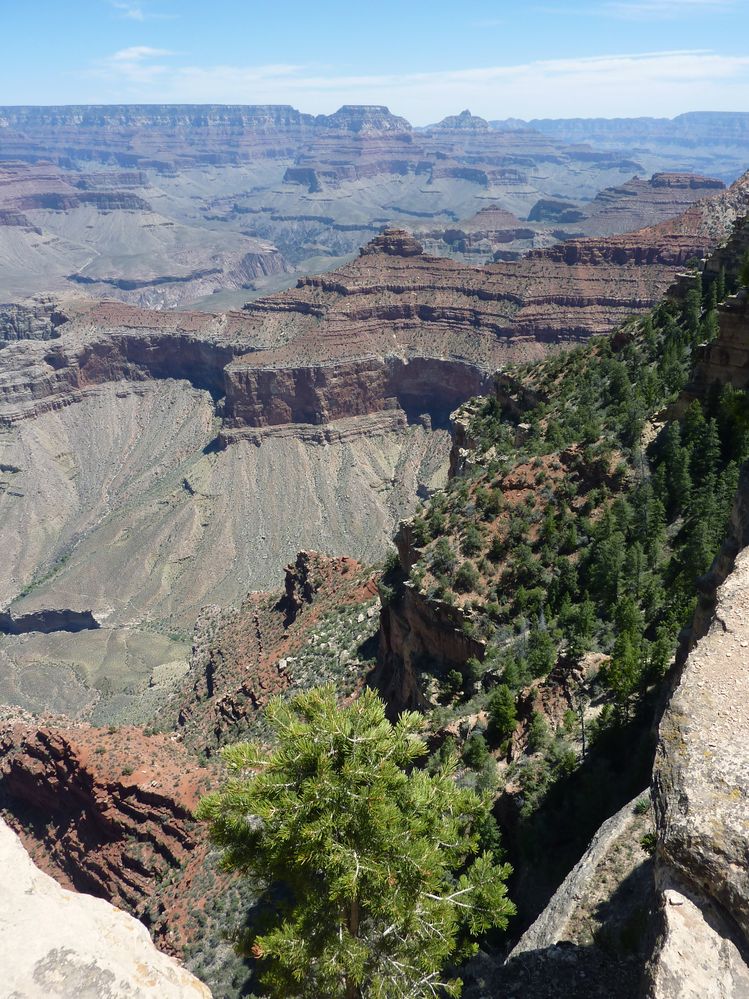 grand canyon rive sud (26).JPG